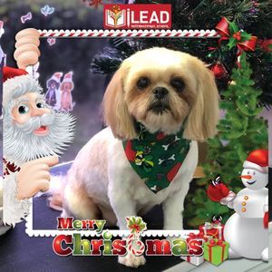 Meet your Posher, Doreen